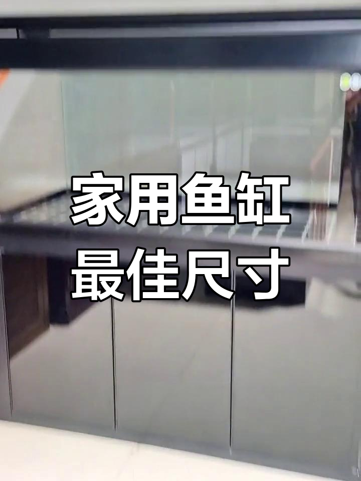 鱼缸客厅摆放尺寸指南,超白玻璃底滤设计更稳固
