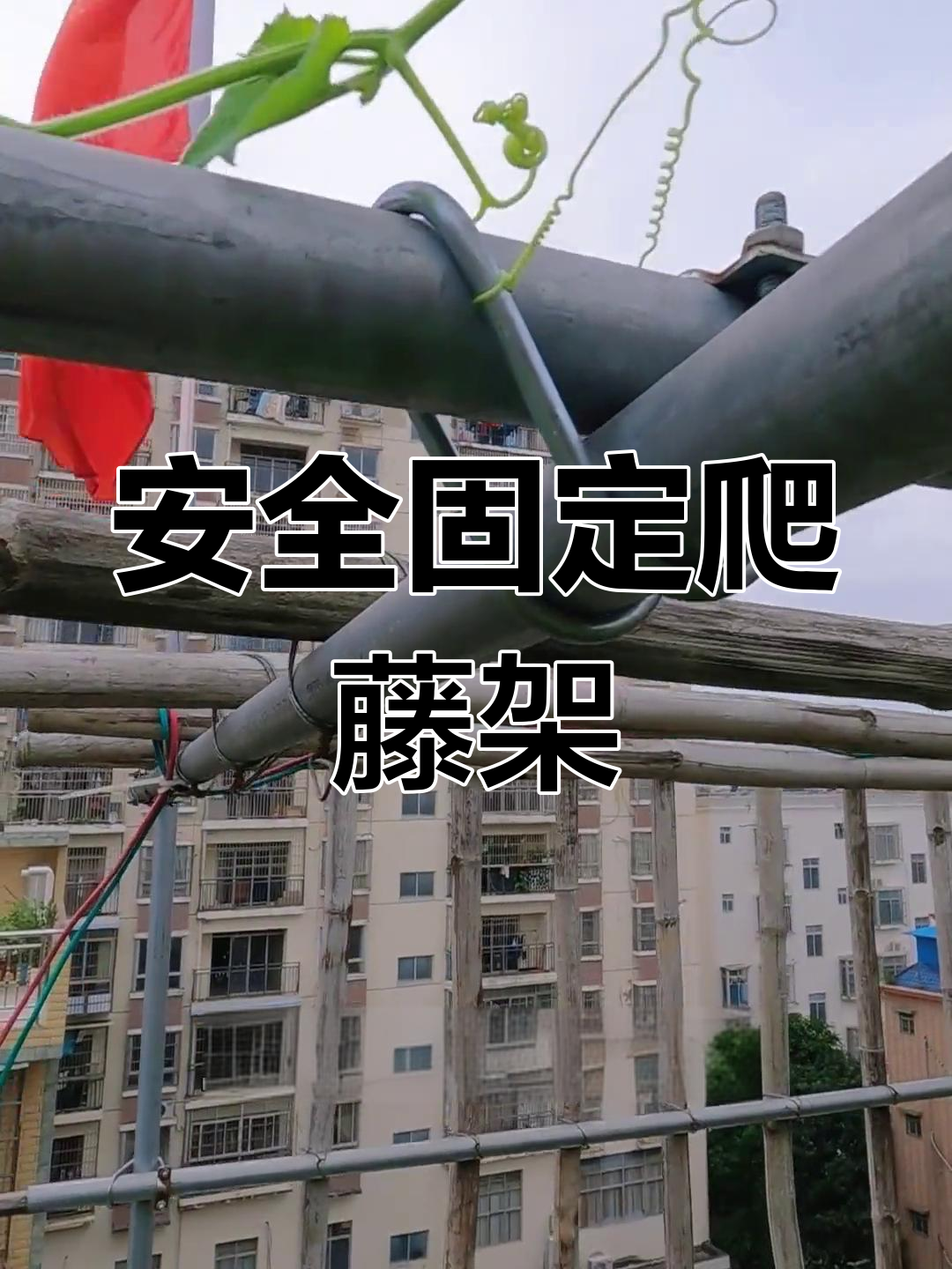 楼顶菜园爬藤架搭建技巧,安全固定更稳固