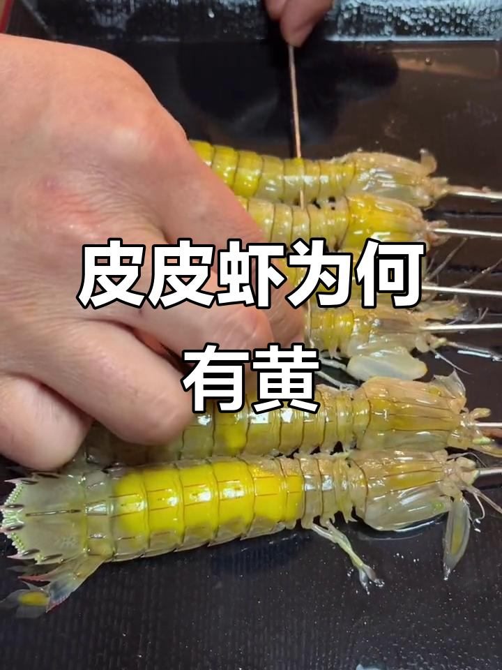 皮皮虾带黄的原因大揭秘,原来是这样做到的!