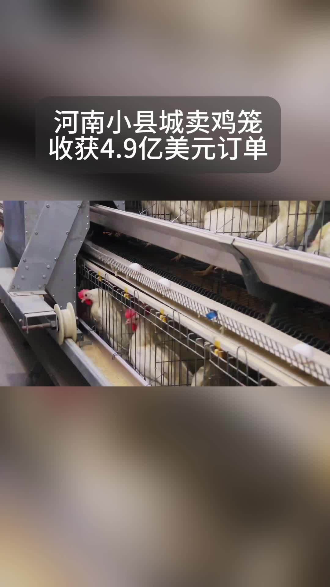 河南一个小县城靠卖鸡笼收获4.9亿美元订单。外贸 跨境电商