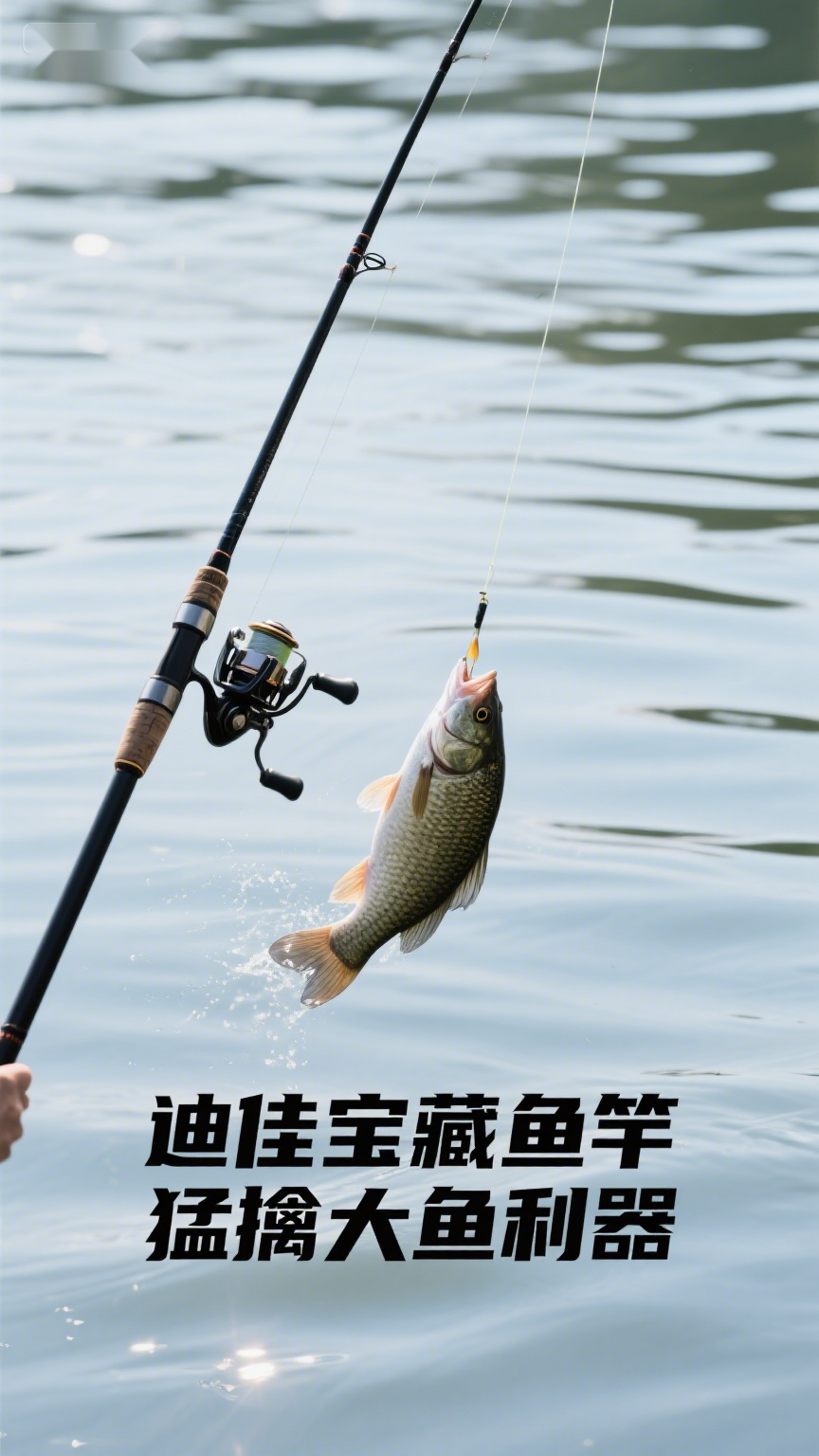 迪佳宝藏鱼竿猛擒大鱼利器