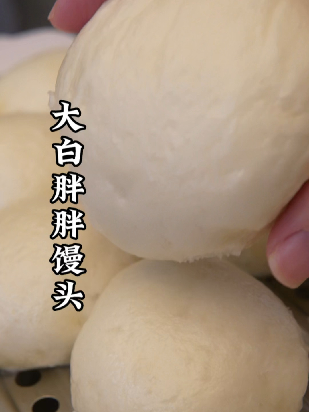 简单2步·新手友好做发·自发面粉大白馒头
