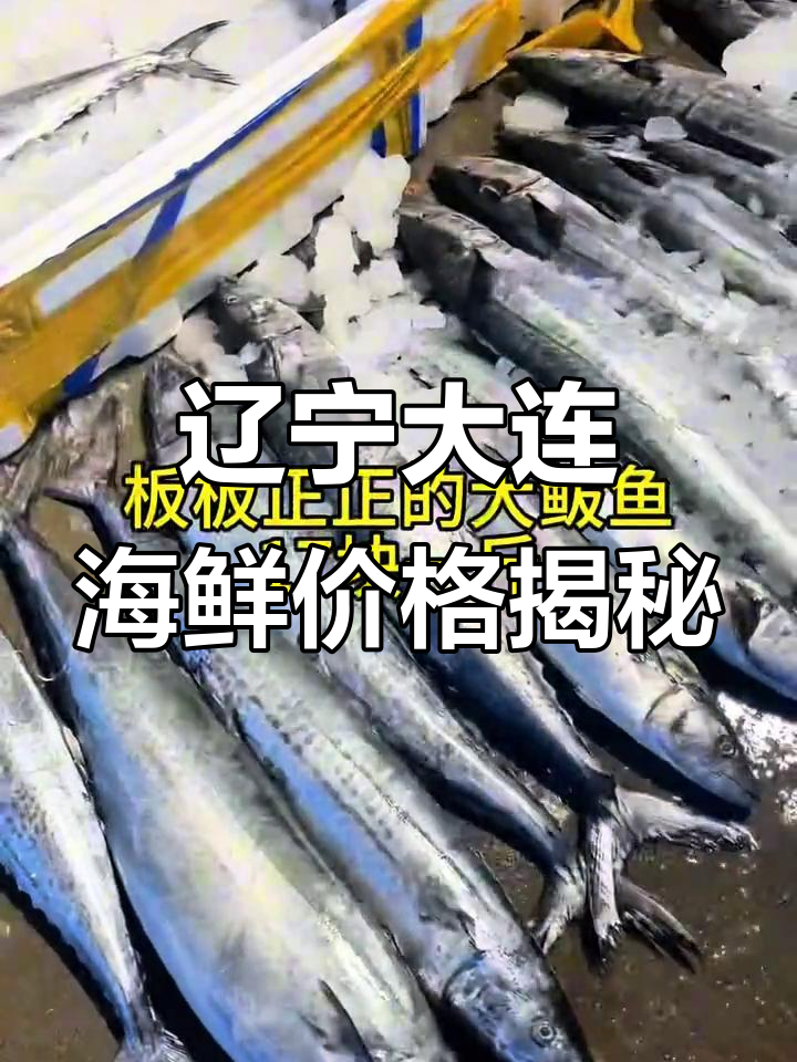 大连海鲜市场新鲜货,真良鱼、大鲅鱼一应俱全