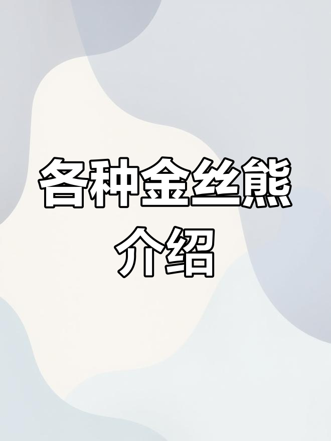 金丝熊种类与价格解析