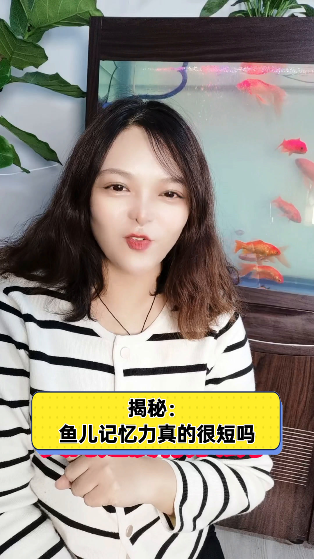 揭秘:鱼儿记忆力真的很短吗