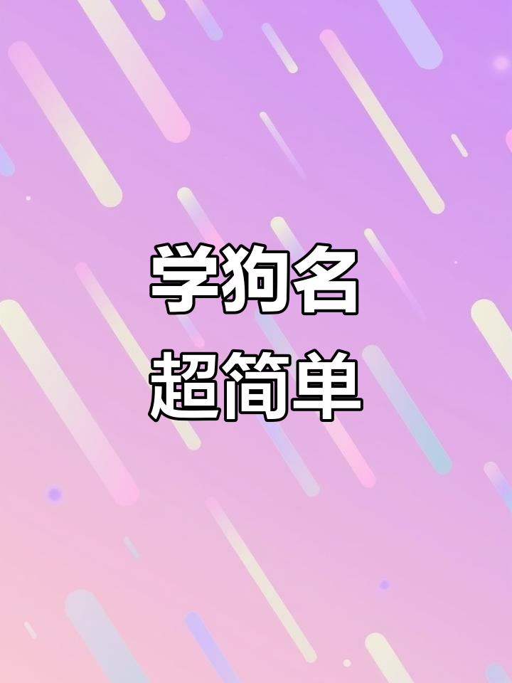 狗狗品种英文大揭秘,轻松学会这些常见犬种名称