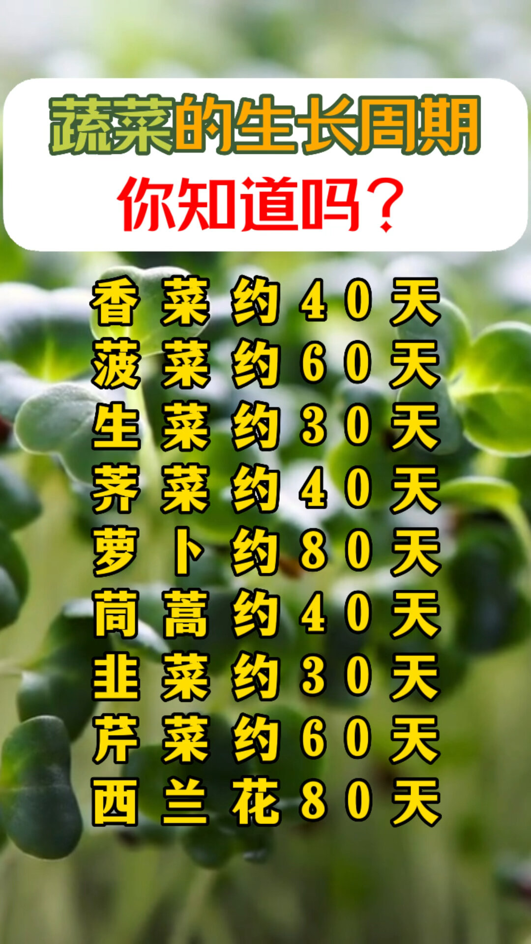 蔬菜的生长周期你知道吗