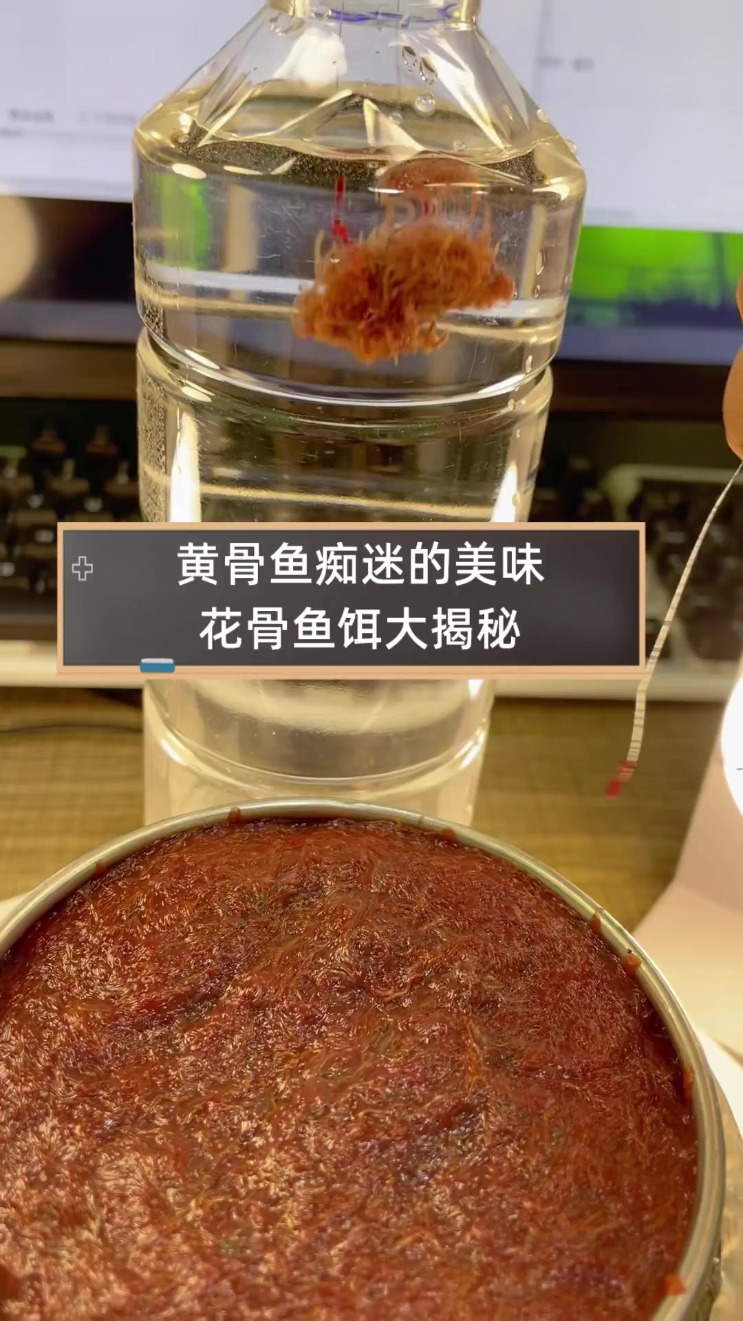 黄骨鱼痴迷的美味,花骨鱼饵大揭秘