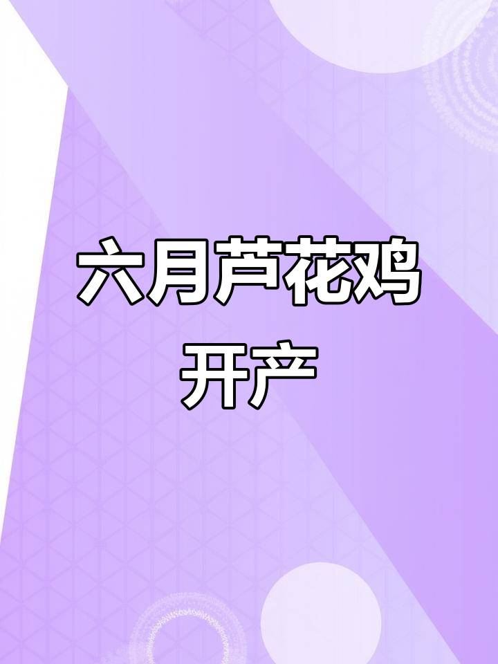 芦花鸡产绿壳蛋,六到七个月开始下蛋