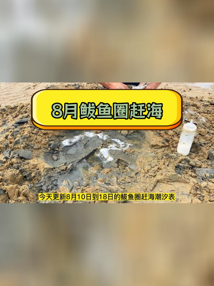 鲅鱼圈8月潮汐表与赶海指南