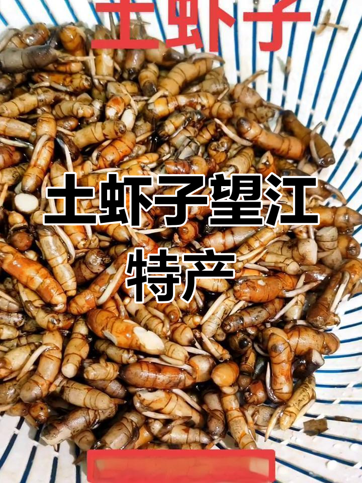 沙俄视频答案揭晓,兔虾子特色美食
