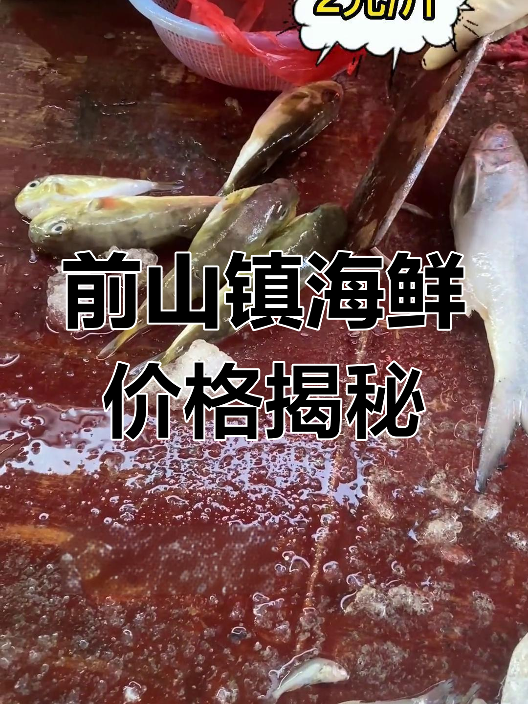 逛前山镇海鲜市场,生蚝到龙利鱼价格全解析