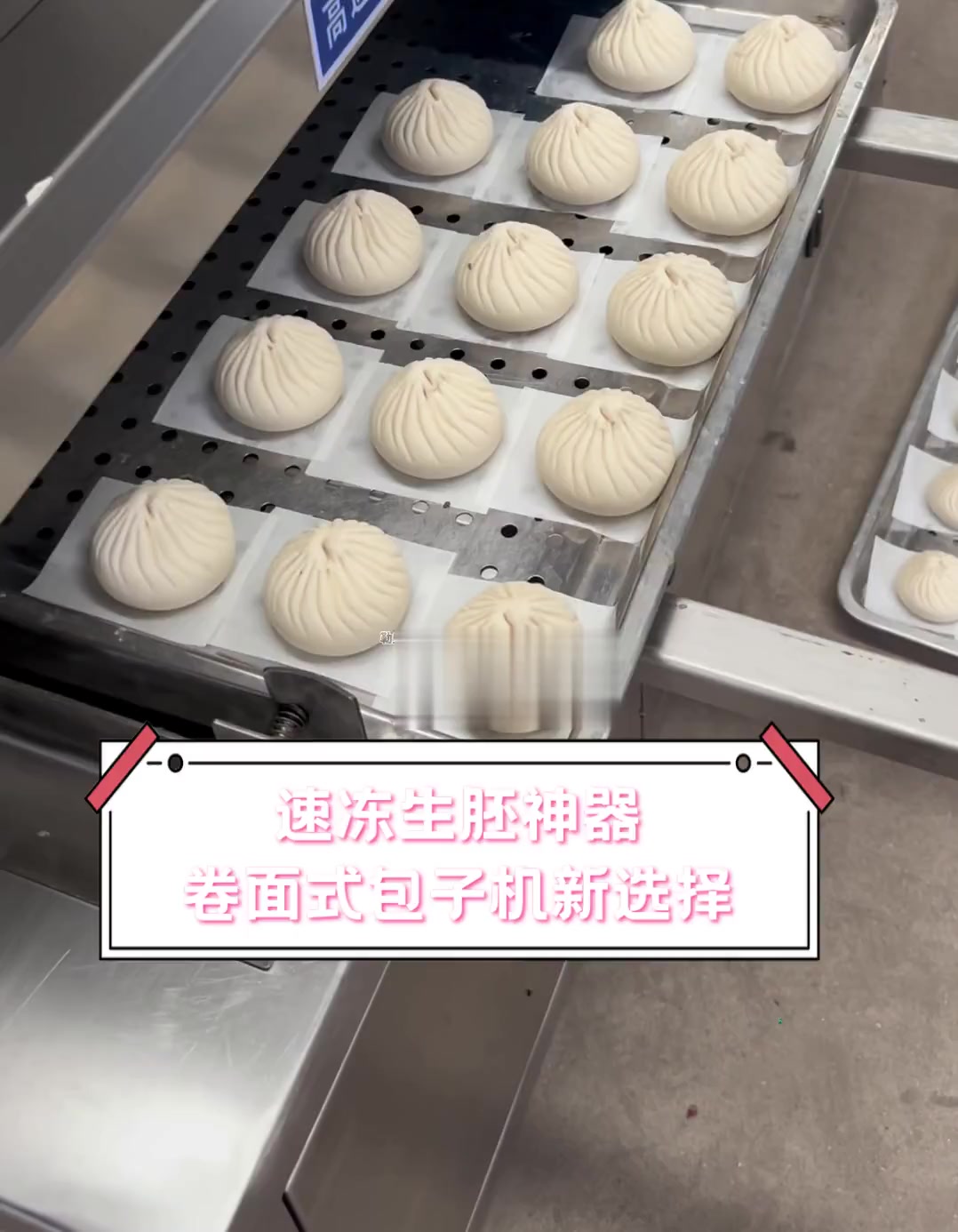 速冻生胚神器,卷面式包子机新选择