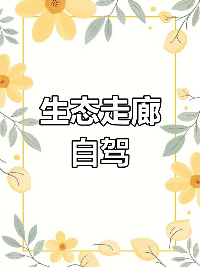 西藏派墨公路,生态之旅的必经之路
