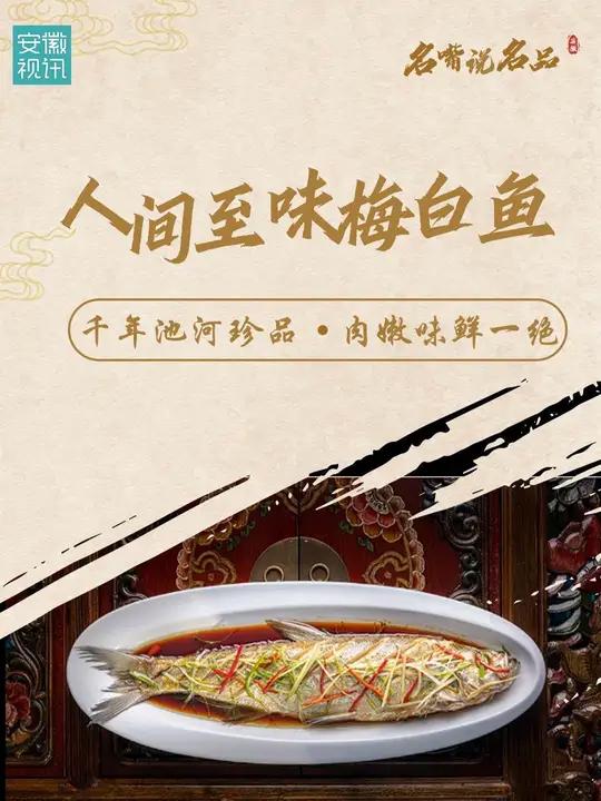 第3集|人间至味梅白鱼 千年池河珍品,肉嫩味鲜一绝。梅白鱼 池河梅白鱼