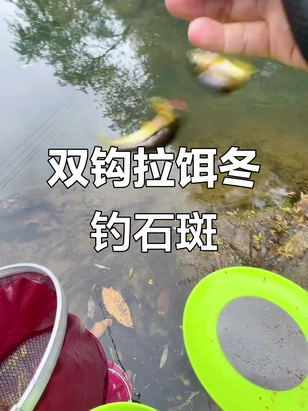 溪流钓双飞,冬季石斑鱼最活跃