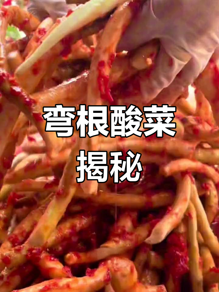 亲自体验后才发现,云南弯根酸菜的腌制方法超有趣!