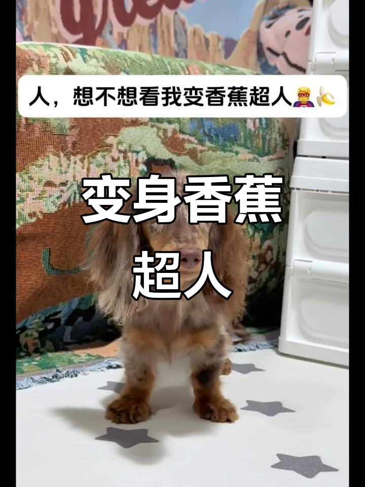 香蕉超人来啦!周末变装大作战,小蜜和小咪也来帮忙