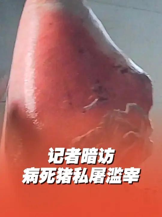 记者暗访注水猪病死猪私屠滥宰 近日,河北邯郸。记者在某屠宰场暗访发现,生猪运输车死猪和活猪