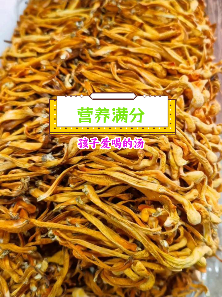 虫草花、鹿茸菇与羊肚菌炖鸡汤,滋补又美味!孩子常喝增强免疫力