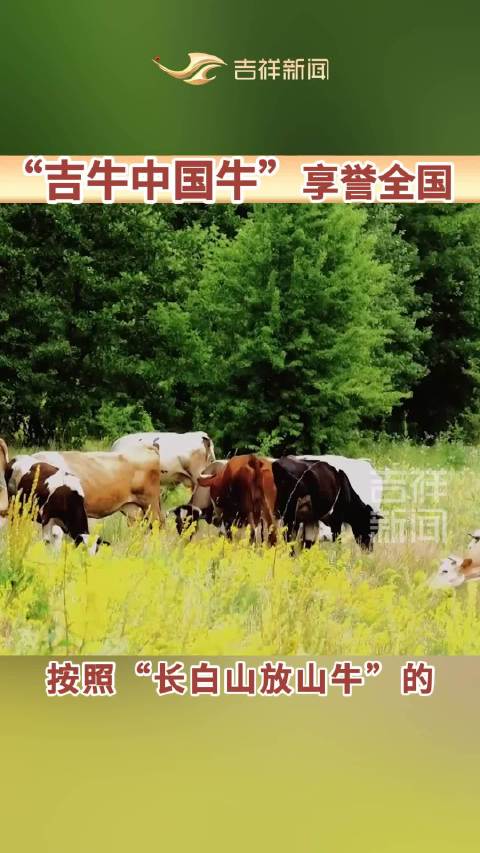 吉牛中国牛,就是这么牛!