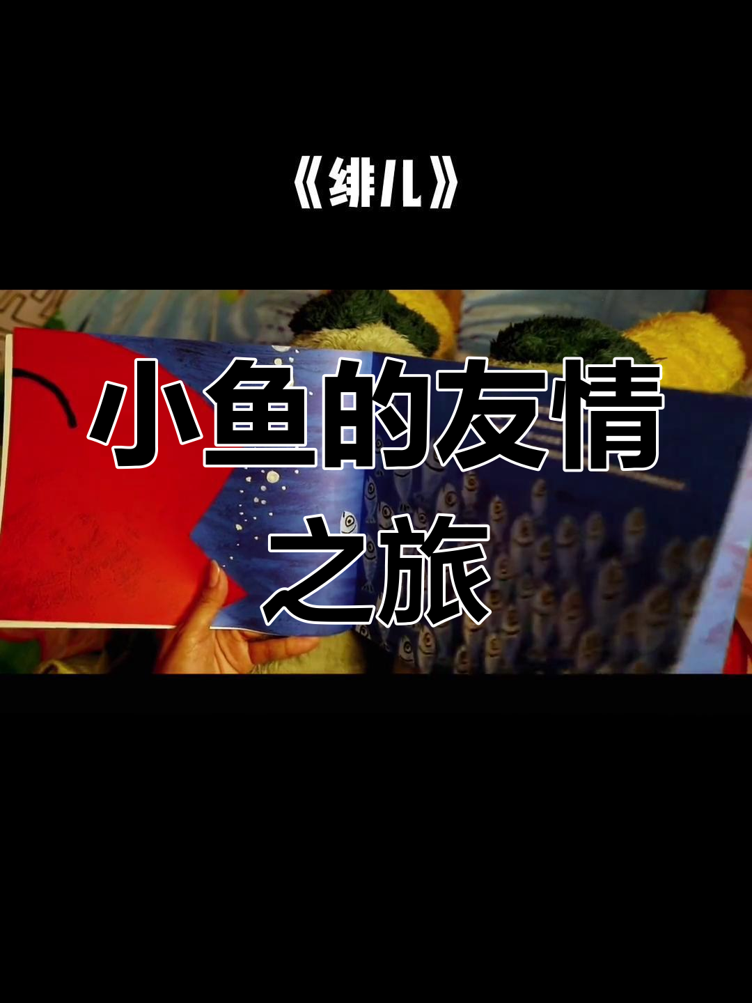 绯儿,一条孤独的小鱼,直到遇见新朋友才有了温暖