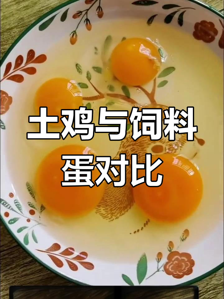 35年才懂,土鸡蛋蛋黄更黄、黏稠,营养不比饲料蛋差