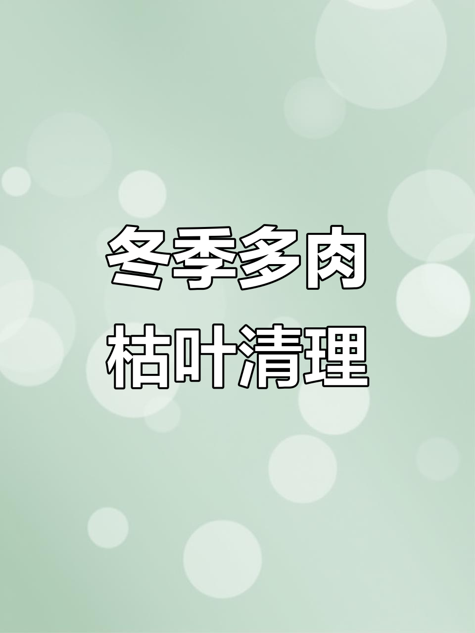 多肉植物冬季枯叶处理技巧,轻松修剪更美观