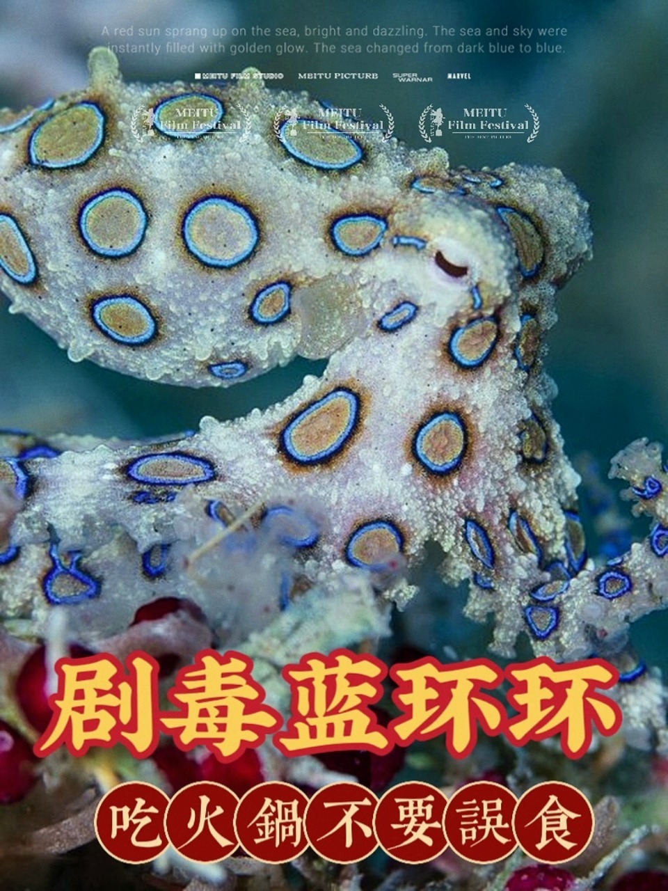「科普海洋」世界上最毒的章鱼蓝环章鱼