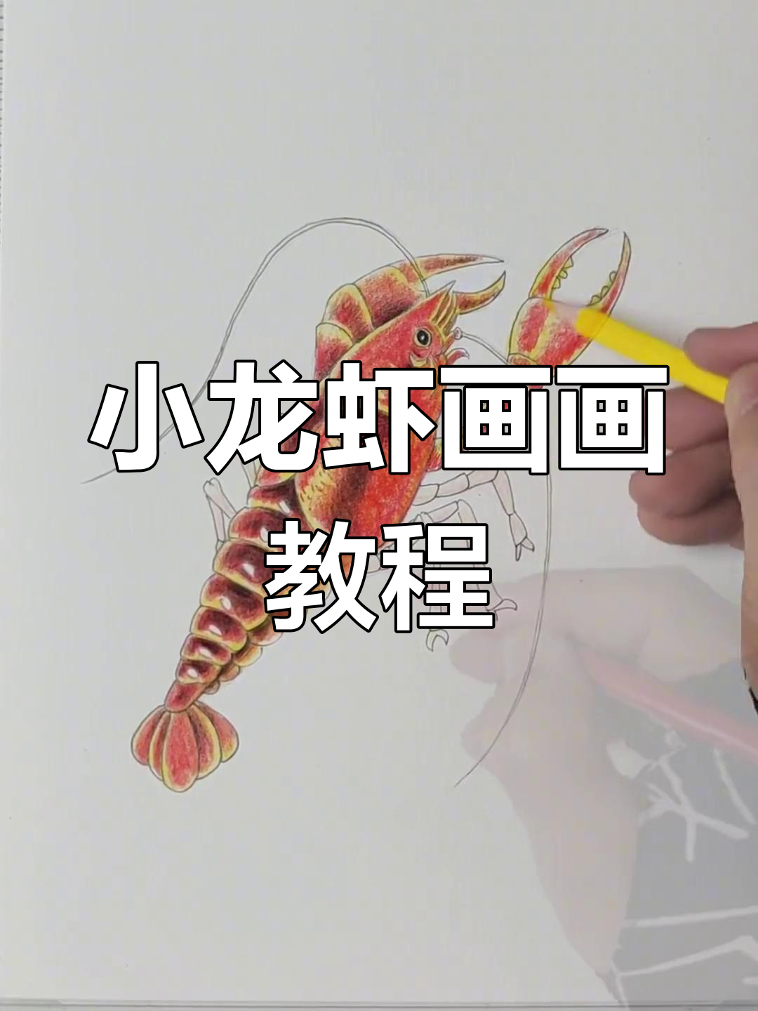 画小龙虾的详细步骤,轻松学会立体感