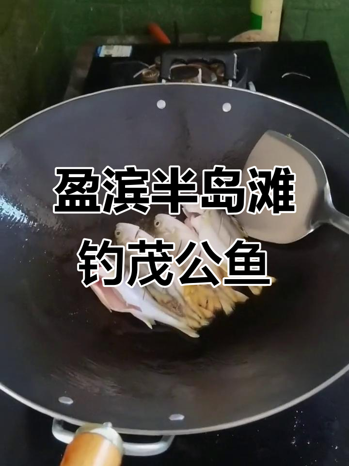 盈滨半岛滩钓茂公鱼,做法超简单又美味