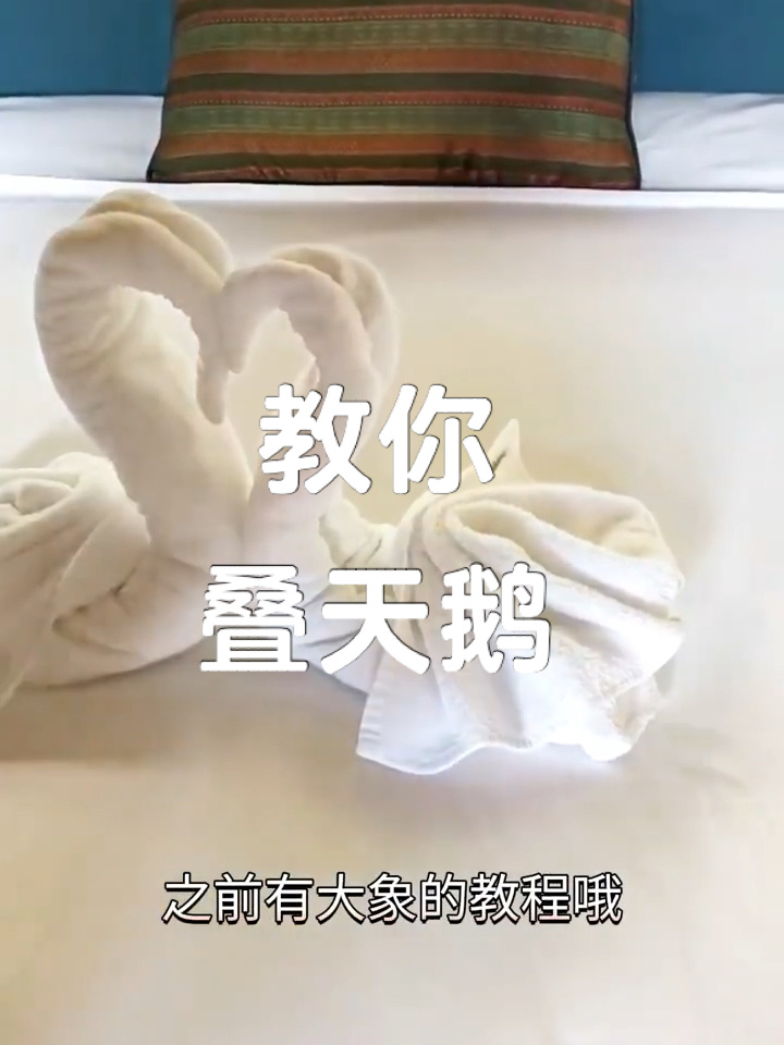 叠毛巾系列2——天鹅