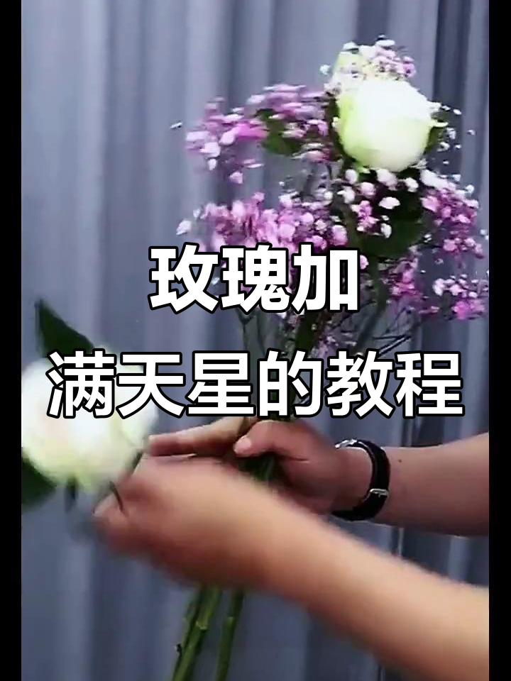 玫瑰与满天星搭配技巧，轻松打造网红花束