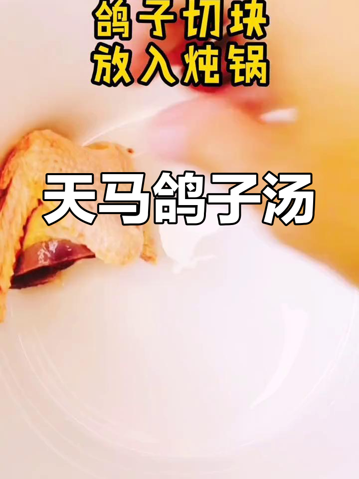 适合全家饮用的天麻鸽子汤