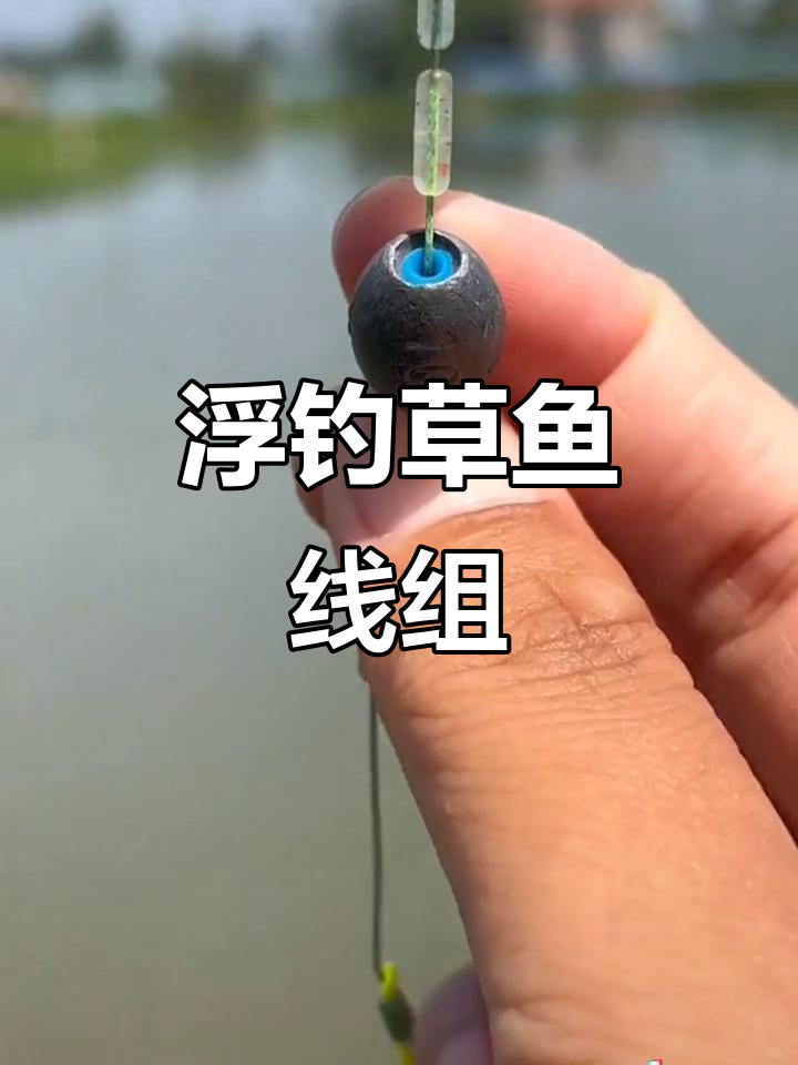 浮钓草鱼新技巧,轻松抛投三十斤大草鱼