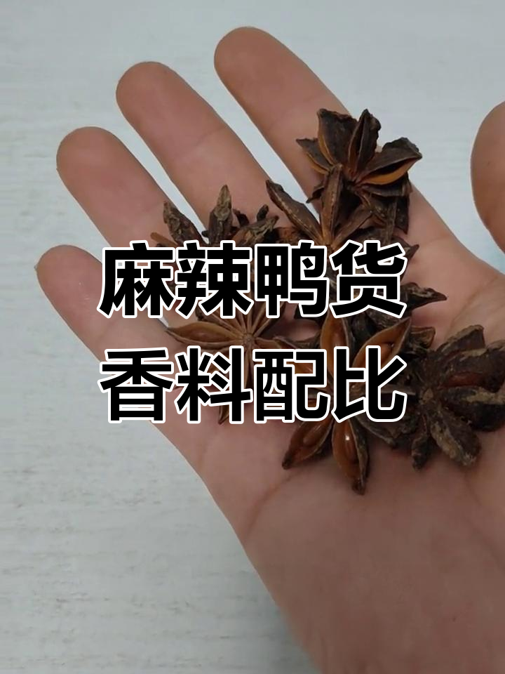 麻辣鸭货香料配方大揭秘,八角、山奈一应俱全