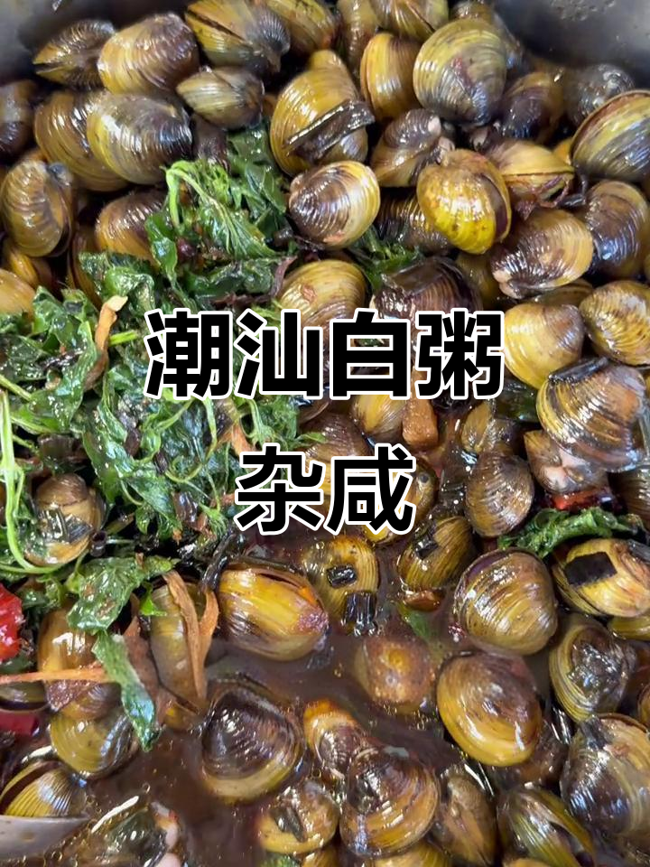 潮汕白粥配菜大揭秘,每一口都是地道风味