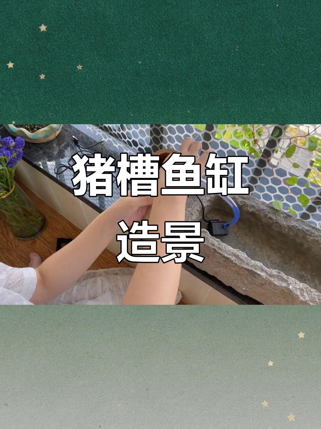 猪槽鱼缸造景,万物皆可养鱼的创意空间