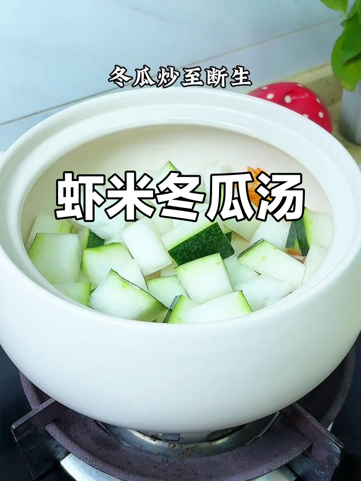 潮汕家常虾米冬瓜汤，鲜美又简单！