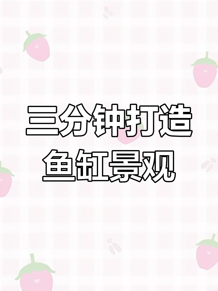 迷你小鱼缸,三分钟搞定造景,超简单又美观!
