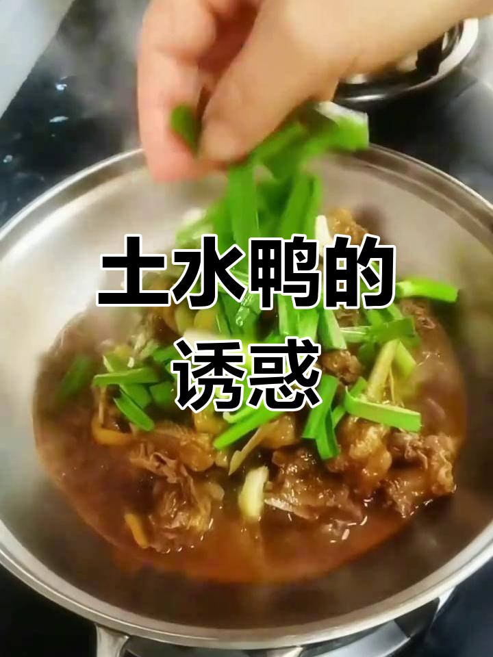 湖南土水鸭,焦香嫩滑,汤汁红亮,回味无穷!
