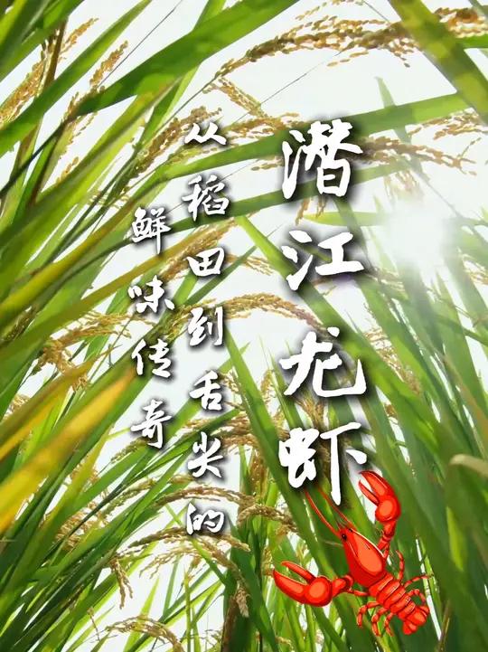 潜江到底有谁在？当然是我们的挚爱——小龙虾来潜江的第一顿当然是吃虾！吃虾！还是吃虾！寻味湖