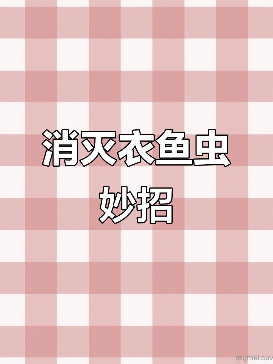 白色衣鱼虫常见于家居,如何彻底清除?
