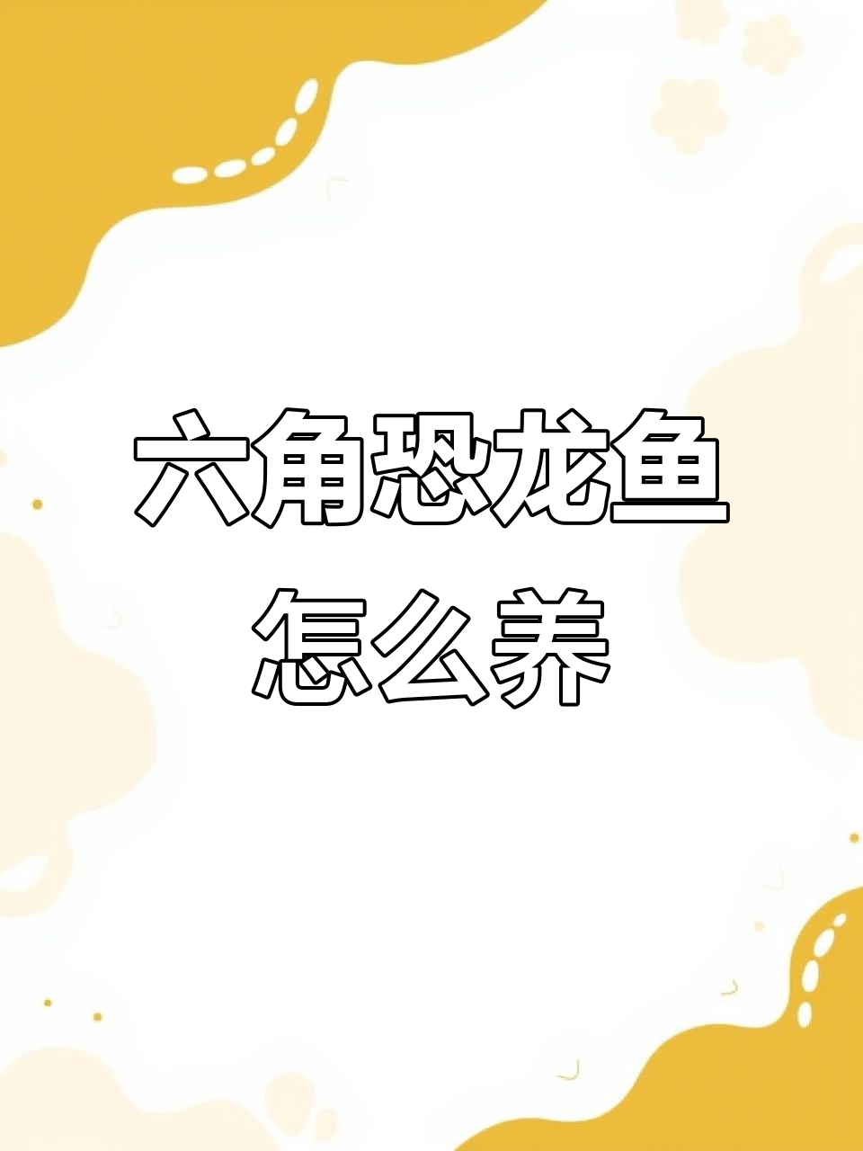 2023年3月六角恐龙鱼养护全攻略:从喂食到注意事项