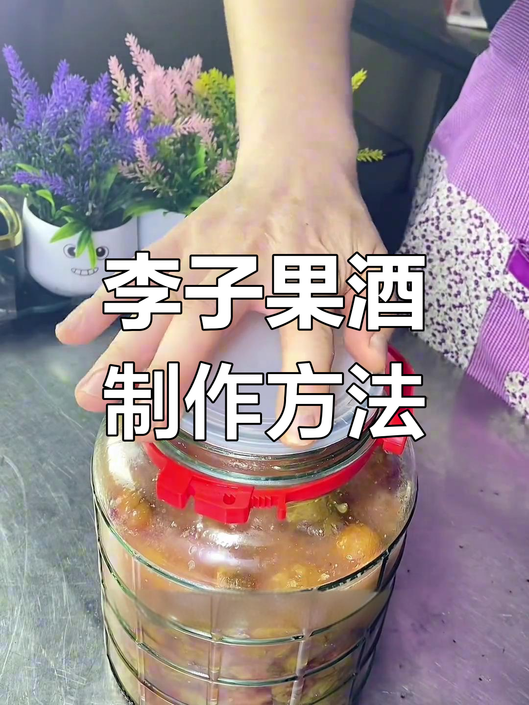 自制李子果酒,简单步骤教你酿造美味