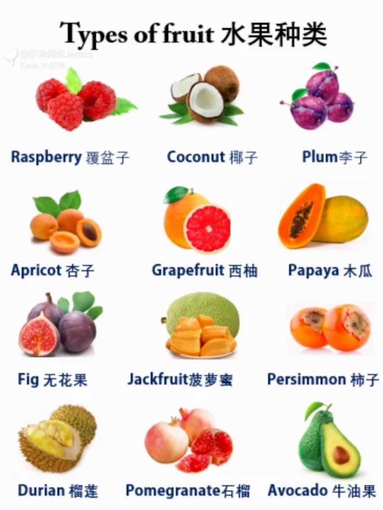 每日实用英语|水果类单词