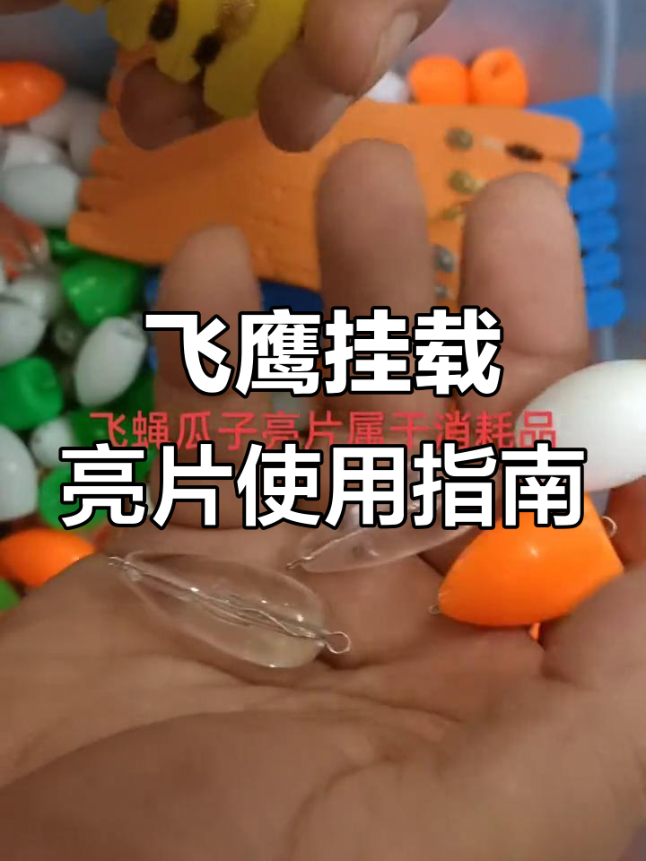 飞鹰亮片诱鱼技巧大揭秘:如何根据天气选择最佳颜色