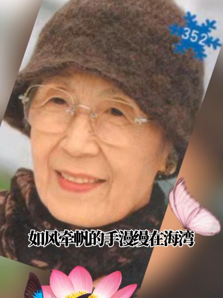 中老年手工编织帽子 有材料包视频教程