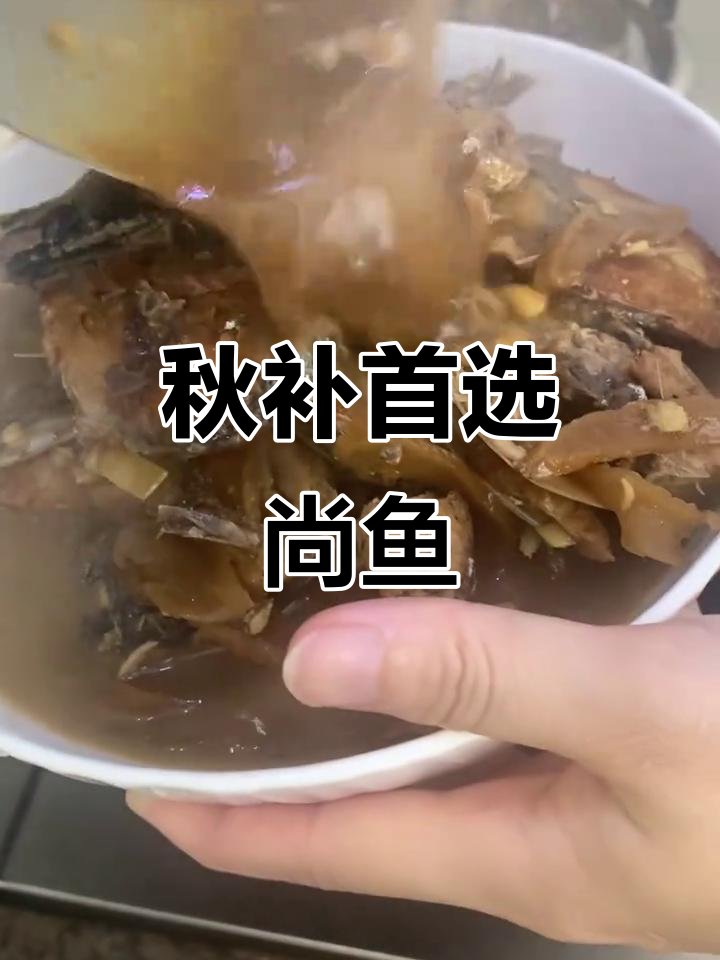 尚鱼秋季滋补佳品，营养丰富胜过十斤虾