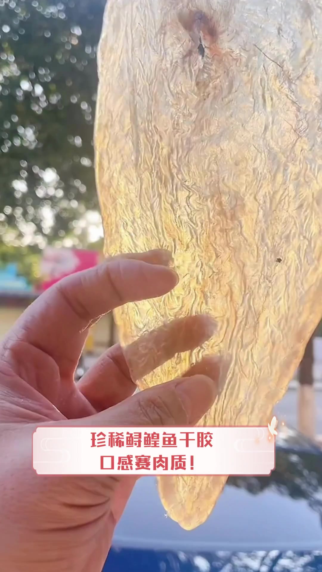 珍稀鲟鳇鱼干胶,口感赛肉质!